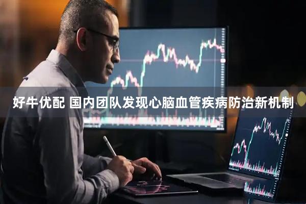 好牛优配 国内团队发现心脑血管疾病防治新机制